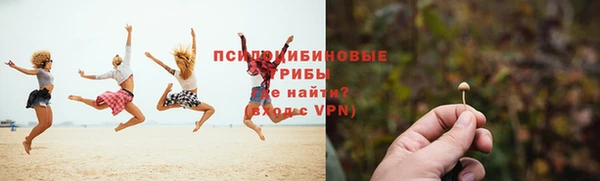 метадон Алексеевка