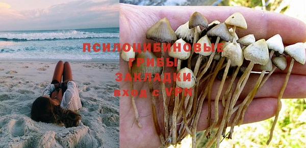 прущий лед Алексин