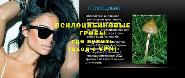 прущий лед Алексин